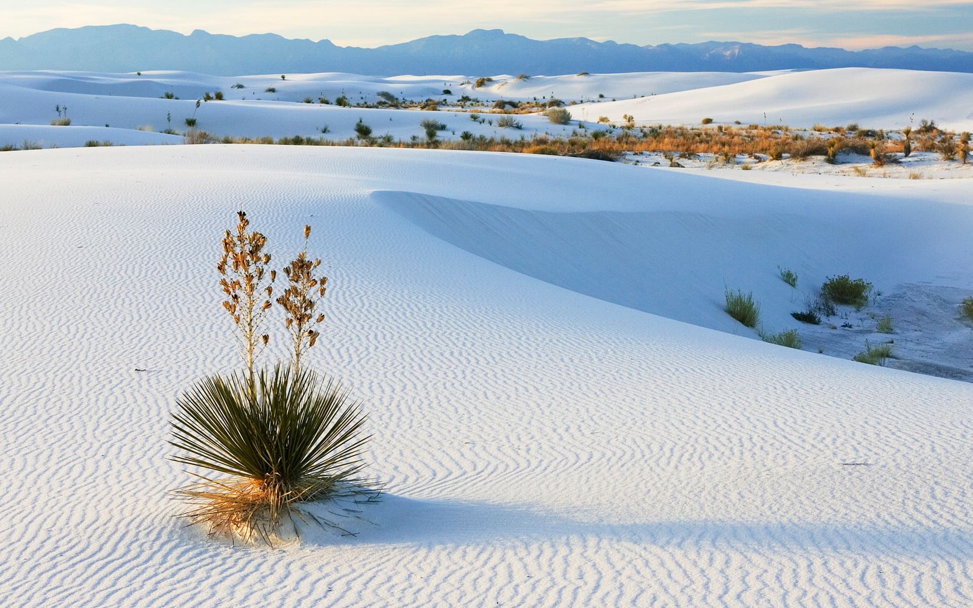 White Sand